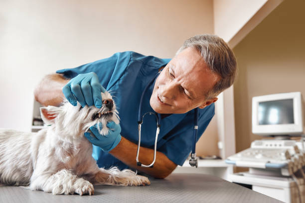 Best 24-Hour Emergency Dentist in Brunswick, GA